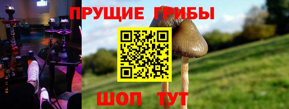 Россошь  даркнет сайт  Псилоцибиновые грибы MAGIC MUSHROOMS  Вход с VPN  Галлюциногенные грибы мицелий 